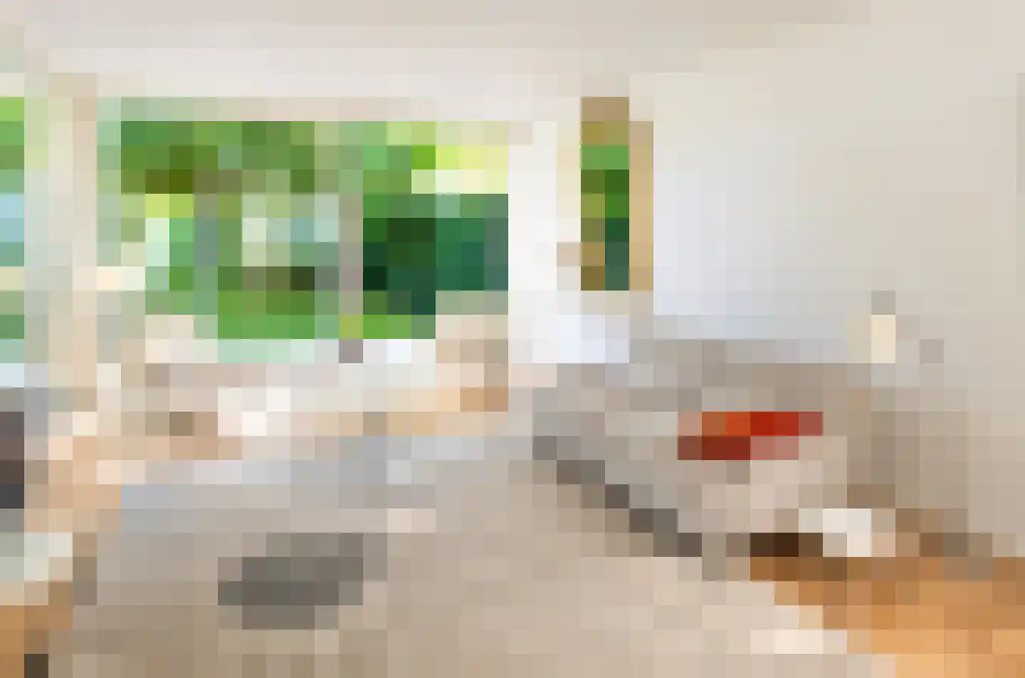 Jan Aartestraat 62 Tilburg thumbnail 11