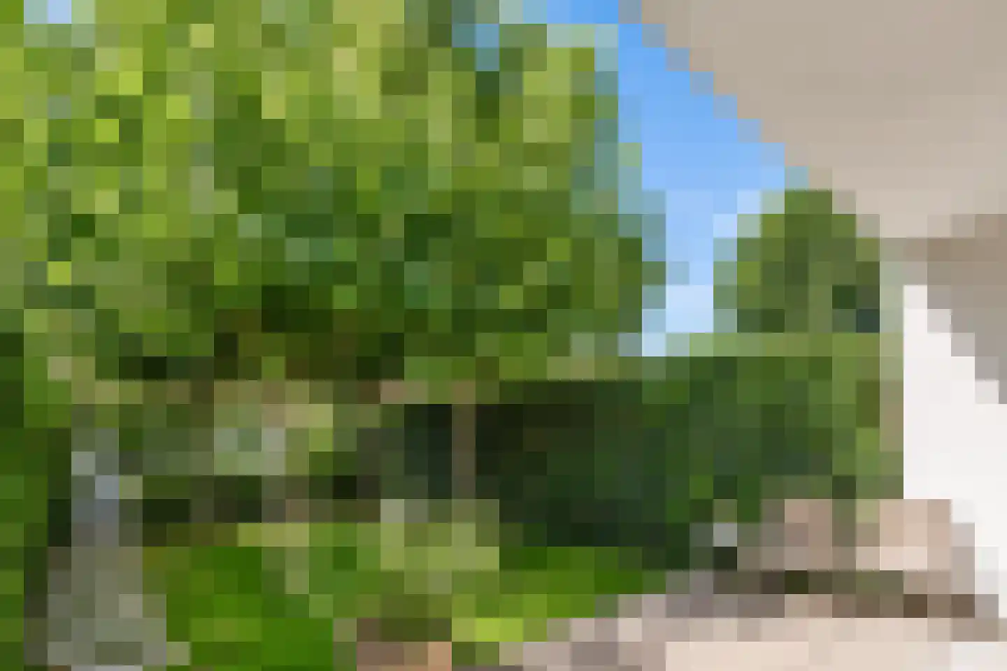 Jan Aartestraat 62 Tilburg thumbnail 15