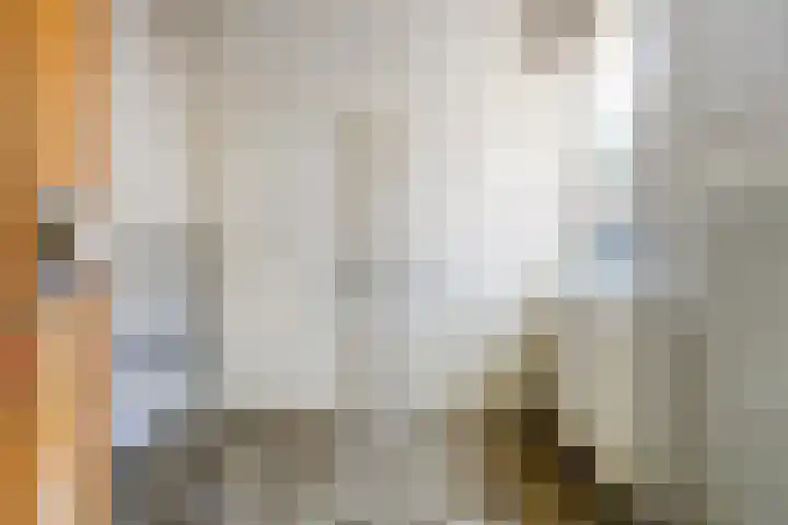 Jan Aartestraat 64 Tilburg thumbnail 28