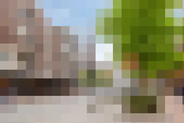 Jan Aartestraat 68 Tilburg thumbnail 36