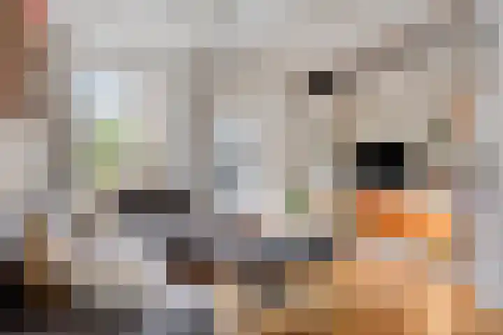 Jan Aartestraat 68 Tilburg thumbnail 4