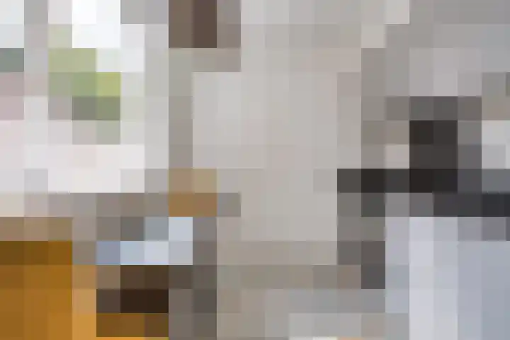Jan Aartestraat 68 Tilburg thumbnail 9