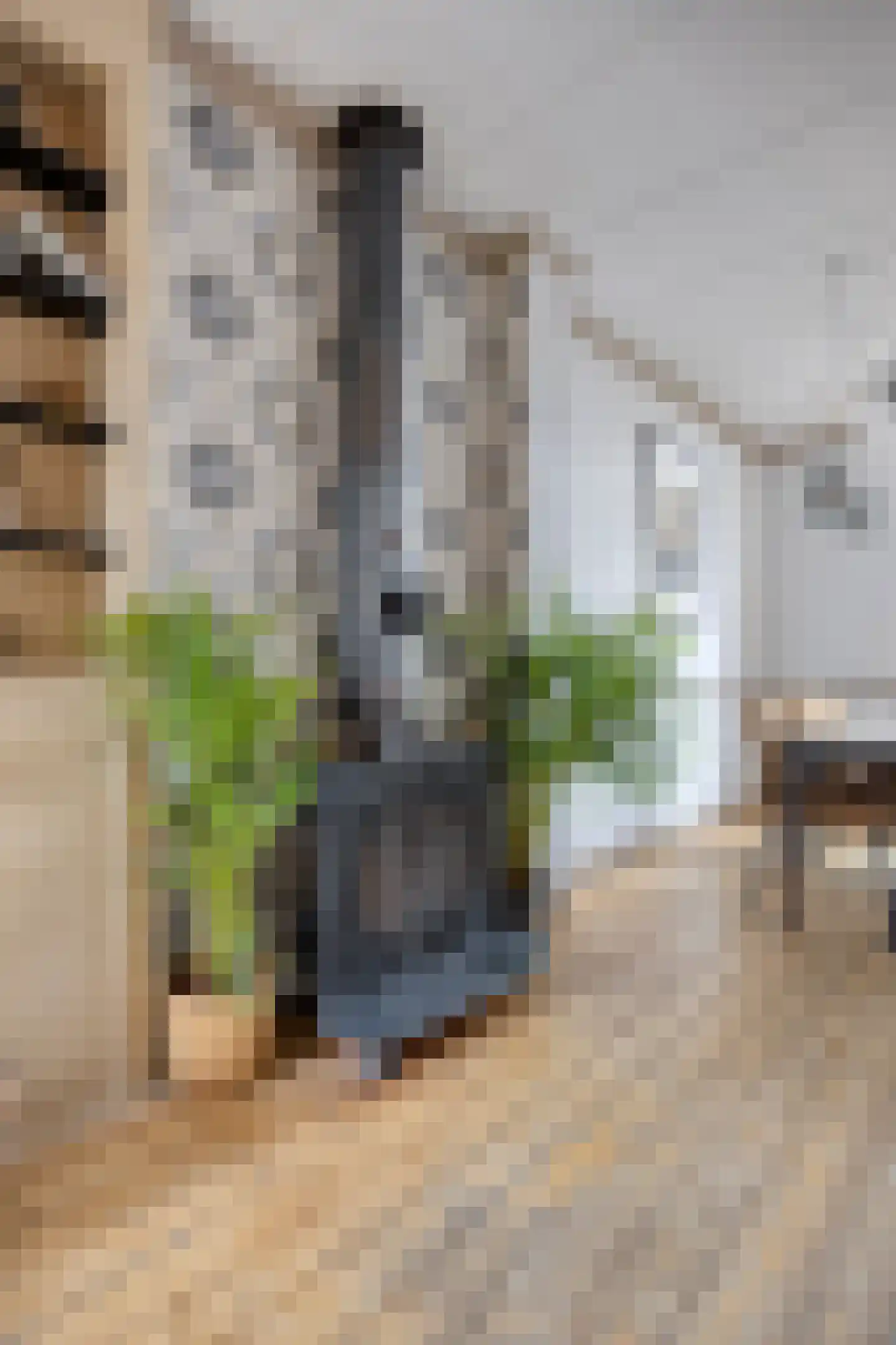 Jan Aartestraat 90 Tilburg thumbnail 13