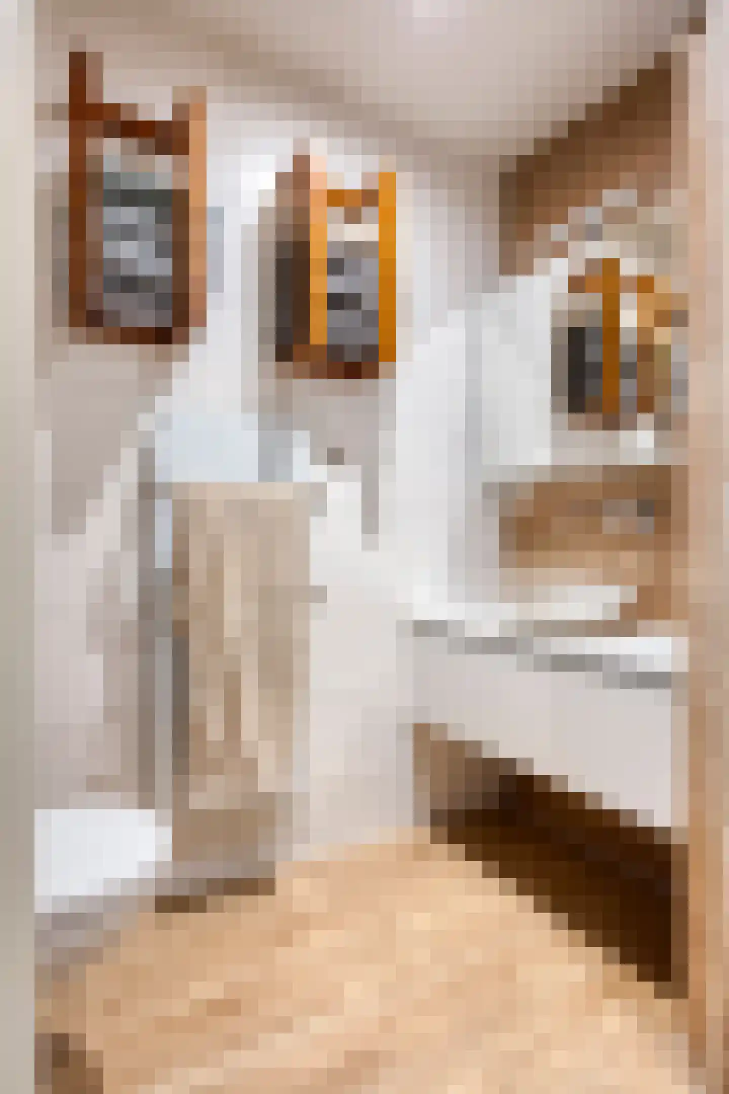 Jan Aartestraat 90 Tilburg thumbnail 19