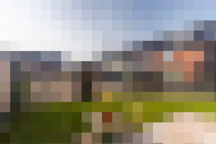 Jan Adriaen Doesendreef 9 Monster thumbnail 19