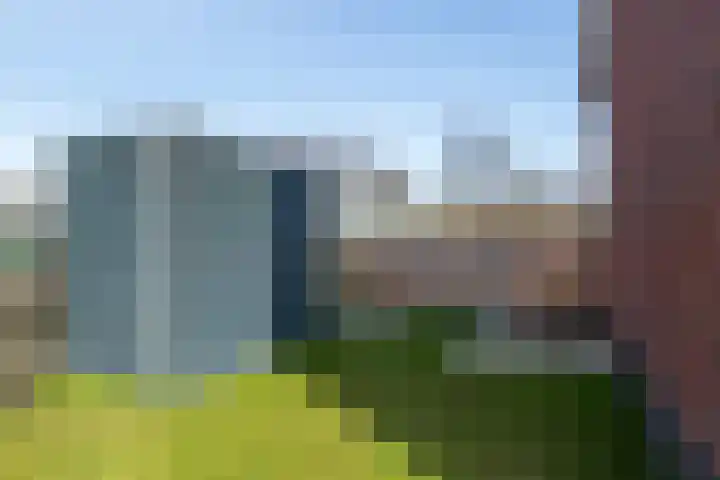 Jan Adriaen Doesendreef 9 Monster thumbnail 22