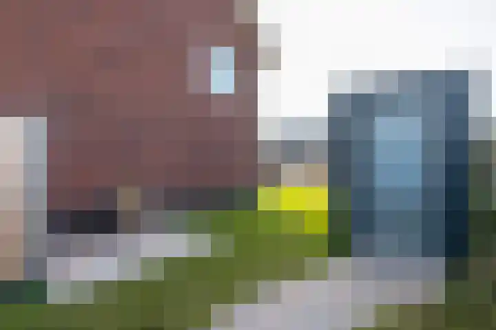 Jan Adriaen Doesendreef 9 Monster thumbnail 23