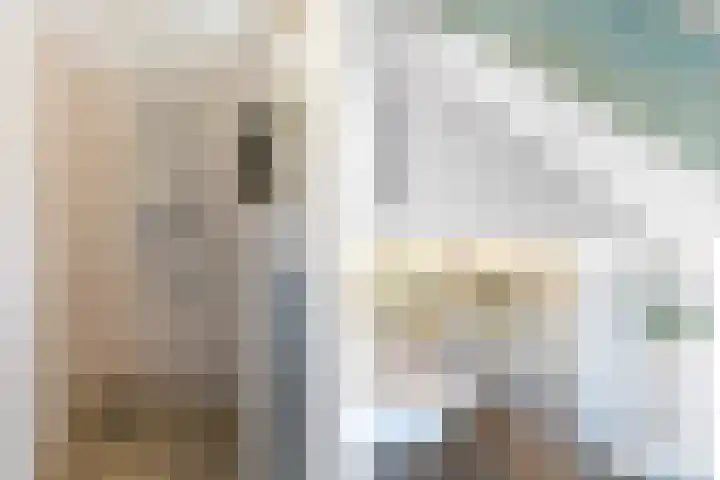 Jan Adriaen Doesendreef 9 Monster thumbnail 26