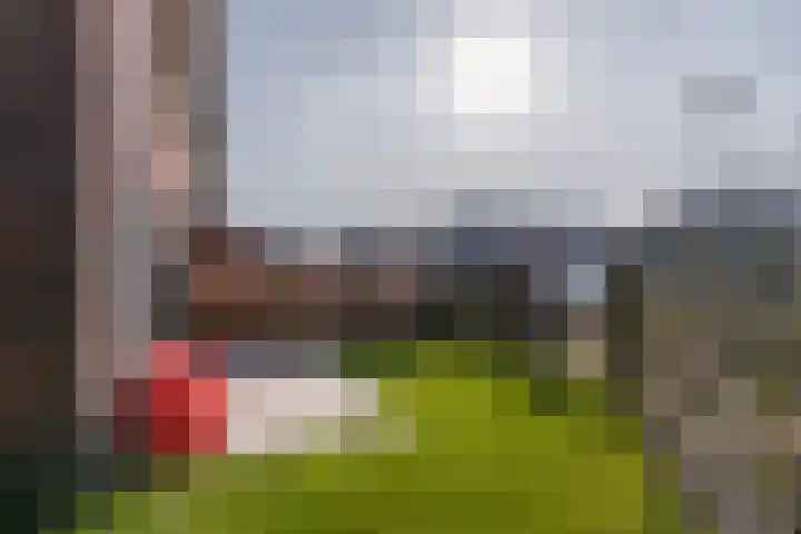 Jan Adriaen Doesendreef 9 Monster thumbnail 4