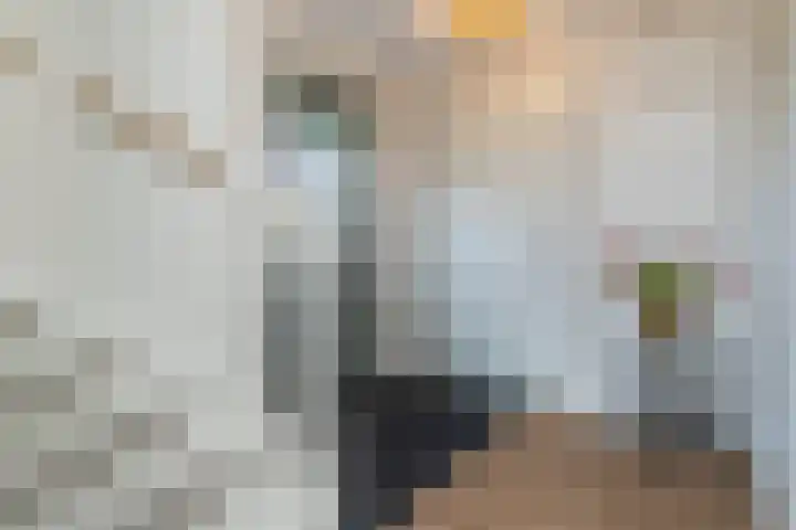 Jan Adriaen Doesendreef 9 Monster thumbnail 41