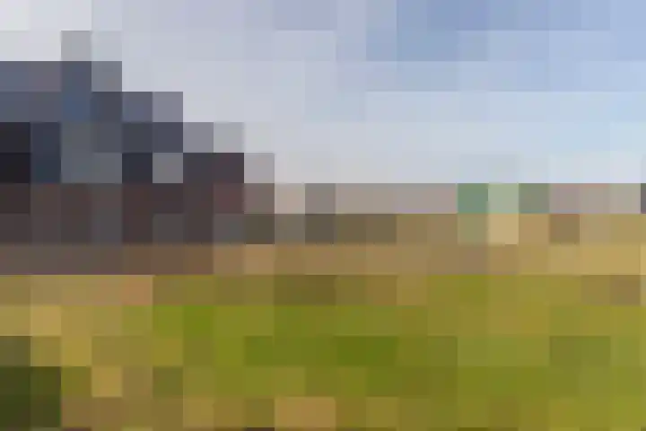 Jan Adriaen Doesendreef 9 Monster thumbnail 45