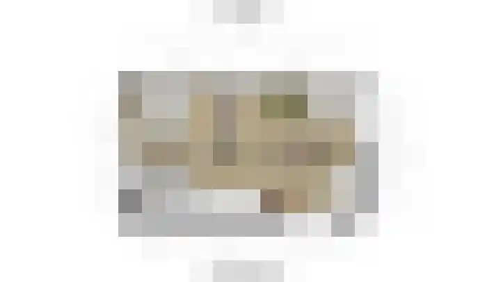 Jan Adriaen Doesendreef 9 Monster thumbnail 48