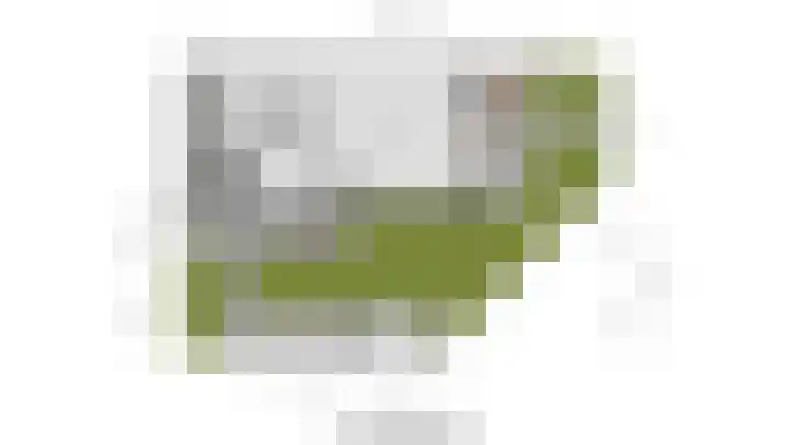Jan Adriaen Doesendreef 9 Monster thumbnail 51