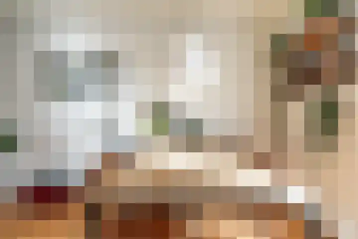 Jan Albert de Gravenlaan 15 Zoeterwoude thumbnail 10