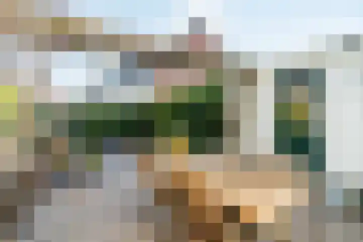 Jan Albert de Gravenlaan 15 Zoeterwoude thumbnail 13