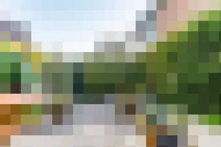 Jan Albert de Gravenlaan 15 Zoeterwoude thumbnail 14