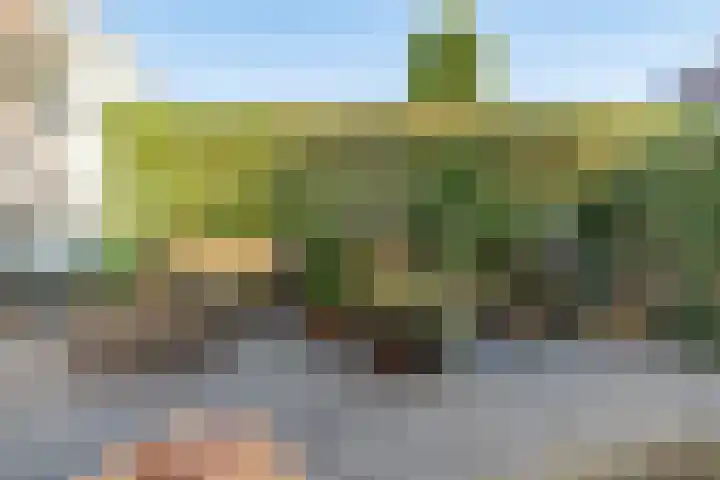 Jan Albert de Gravenlaan 15 Zoeterwoude thumbnail 16