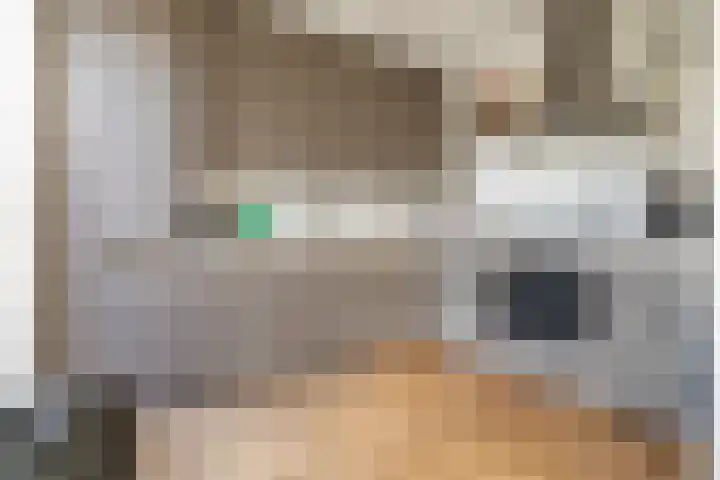 Jan Albert de Gravenlaan 15 Zoeterwoude thumbnail 20