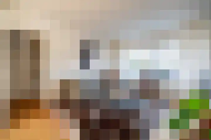 Jan Albert de Gravenlaan 15 Zoeterwoude thumbnail 24