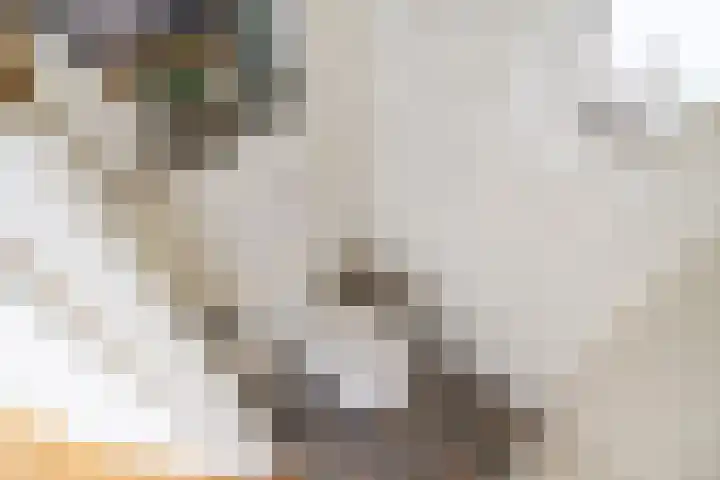 Jan Albert de Gravenlaan 15 Zoeterwoude thumbnail 29