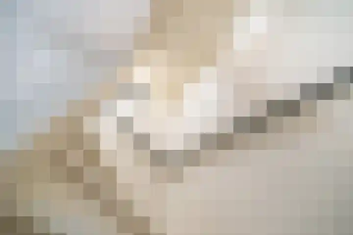 Jan Albert de Gravenlaan 15 Zoeterwoude thumbnail 32