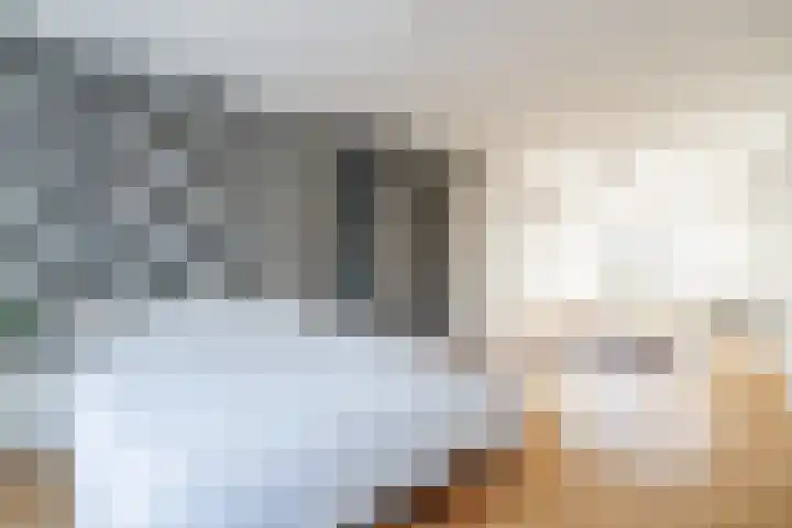 Jan Albert de Gravenlaan 15 Zoeterwoude thumbnail 34