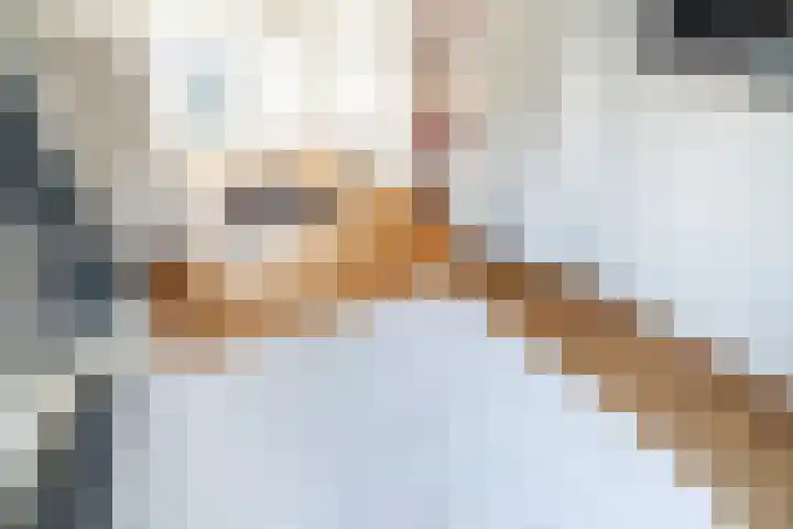 Jan Albert de Gravenlaan 15 Zoeterwoude thumbnail 35