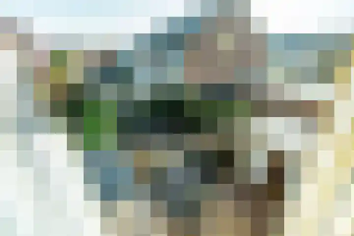 Jan Albert de Gravenlaan 15 Zoeterwoude thumbnail 37