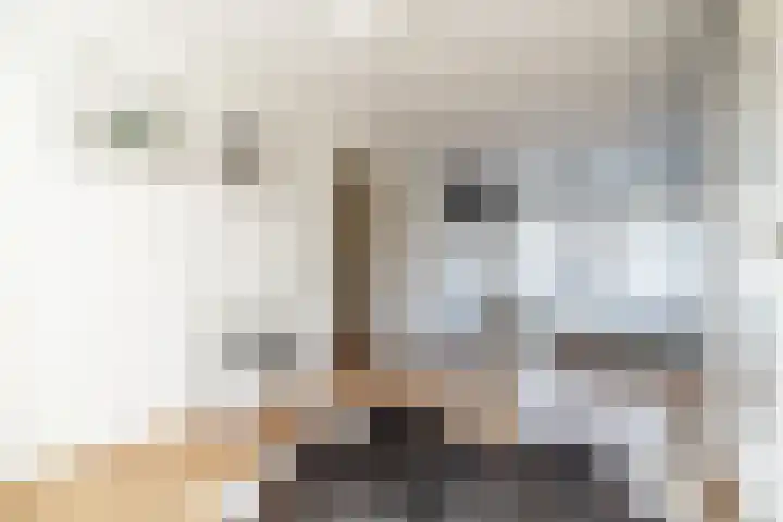 Jan Albert de Gravenlaan 15 Zoeterwoude thumbnail 40