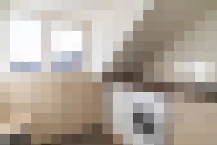 Jan Albert de Gravenlaan 15 Zoeterwoude thumbnail 47