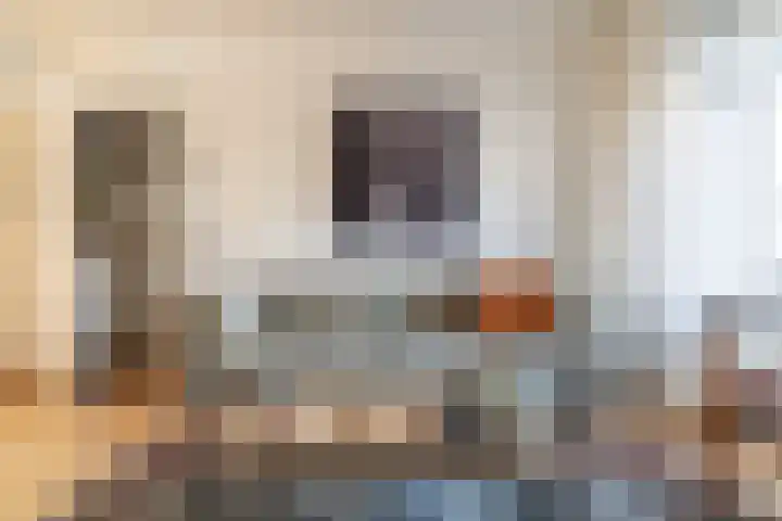 Jan Albert de Gravenlaan 15 Zoeterwoude thumbnail 8