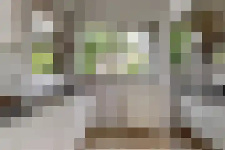 Jan Albert de Gravenlaan 18 Zoeterwoude thumbnail 16