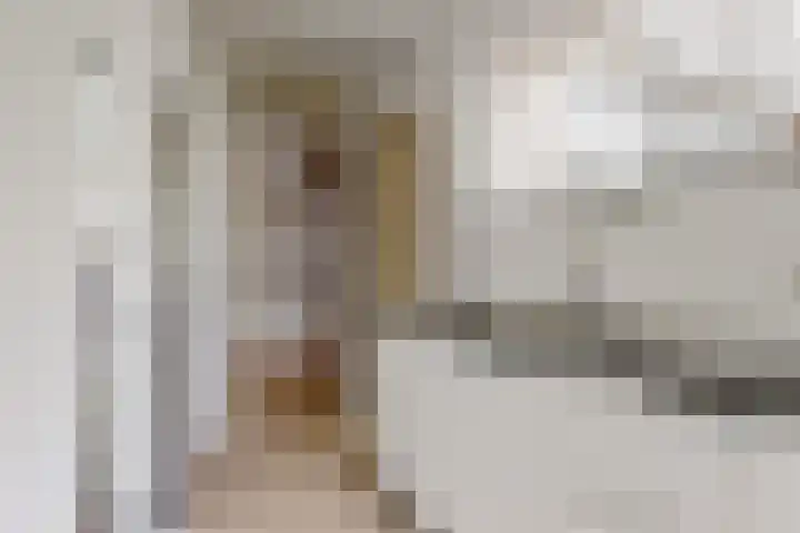 Jan Albert de Gravenlaan 18 Zoeterwoude thumbnail 17