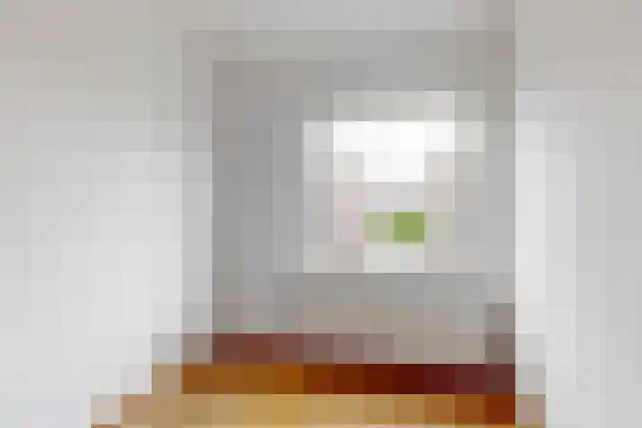 Jan Albert de Gravenlaan 18 Zoeterwoude thumbnail 22