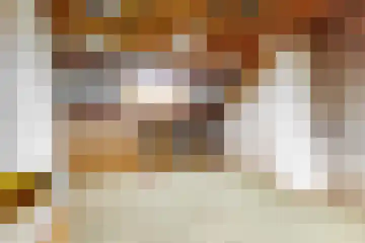 Jan Albert de Gravenlaan 18 Zoeterwoude thumbnail 36