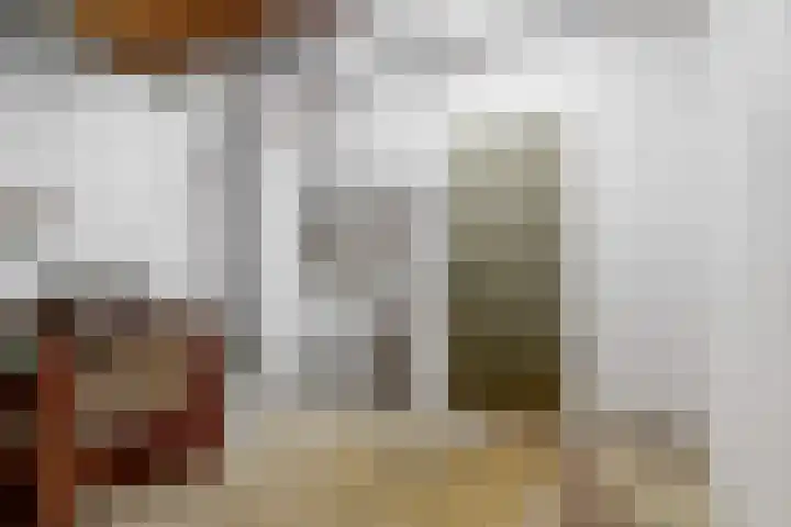 Jan Albert de Gravenlaan 18 Zoeterwoude thumbnail 39