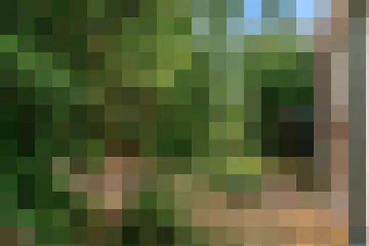 Jan Albert de Gravenlaan 18 Zoeterwoude thumbnail 44