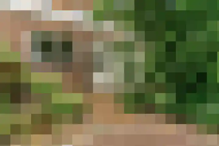 Jan Albert de Gravenlaan 18 Zoeterwoude thumbnail 45
