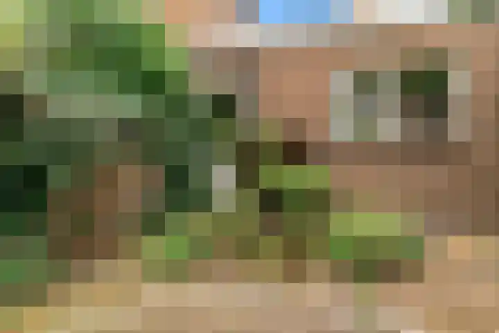 Jan Albert de Gravenlaan 18 Zoeterwoude thumbnail 46