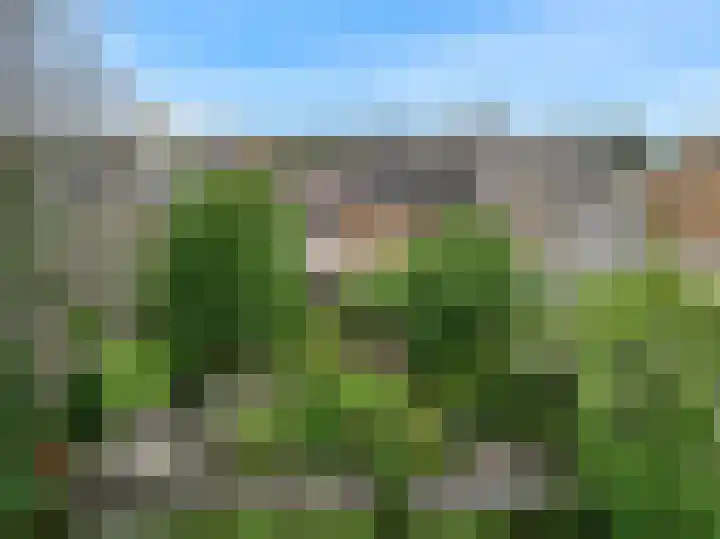 Jan Albert de Gravenlaan 18 Zoeterwoude thumbnail 48
