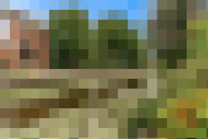 Jan Albert de Gravenlaan 18 Zoeterwoude thumbnail 49