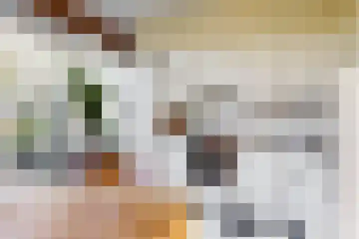 Jan Albert de Gravenlaan 34 Zoeterwoude thumbnail 15