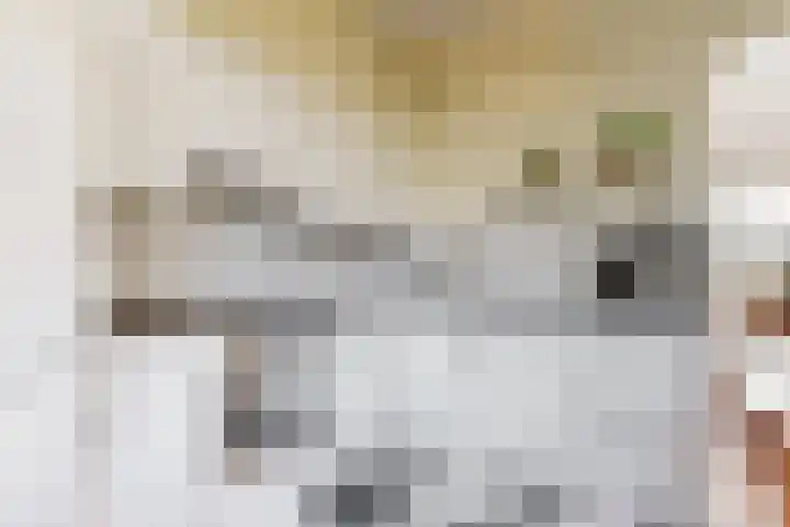 Jan Albert de Gravenlaan 34 Zoeterwoude thumbnail 17