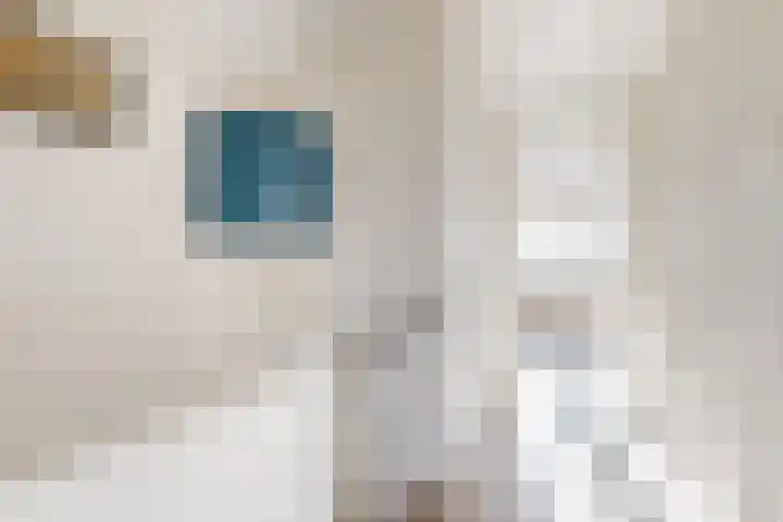 Jan Albert de Gravenlaan 34 Zoeterwoude thumbnail 19
