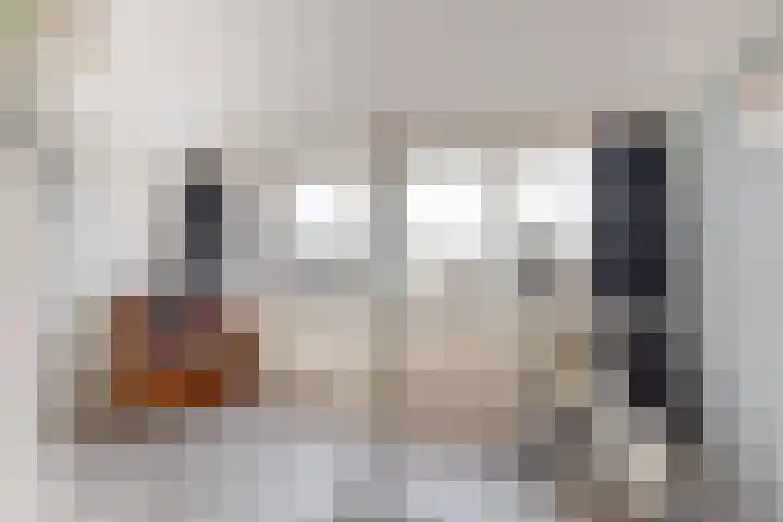 Jan Albert de Gravenlaan 34 Zoeterwoude thumbnail 25