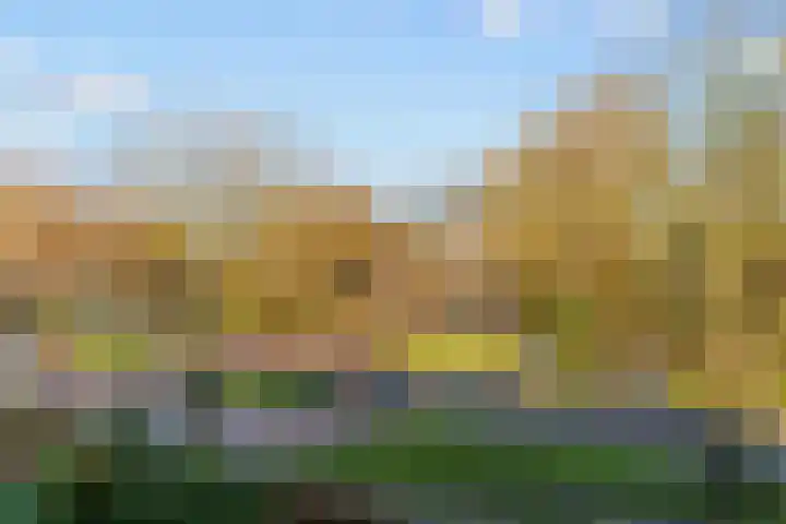 Jan Albert de Gravenlaan 34 Zoeterwoude thumbnail 29