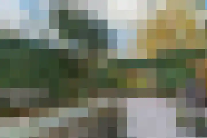 Jan Albert de Gravenlaan 34 Zoeterwoude thumbnail 30