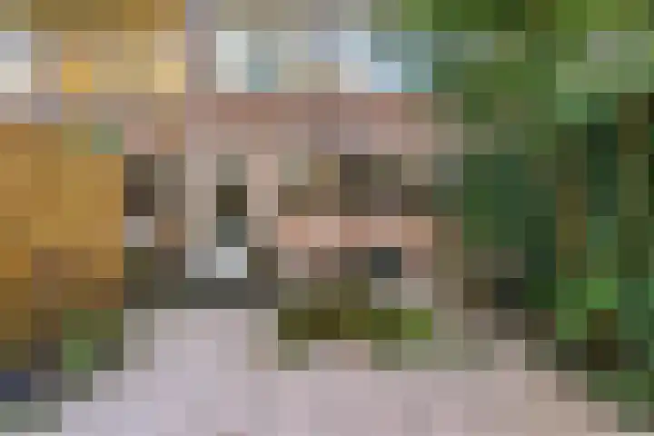 Jan Albert de Gravenlaan 34 Zoeterwoude thumbnail 32