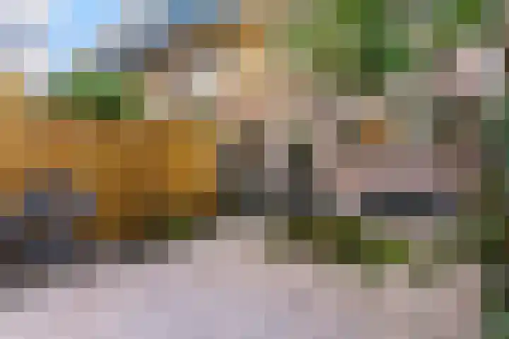 Jan Albert de Gravenlaan 34 Zoeterwoude thumbnail 33
