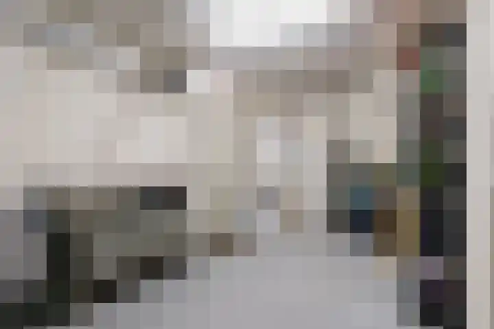Jan Albert de Gravenlaan 34 Zoeterwoude thumbnail 8